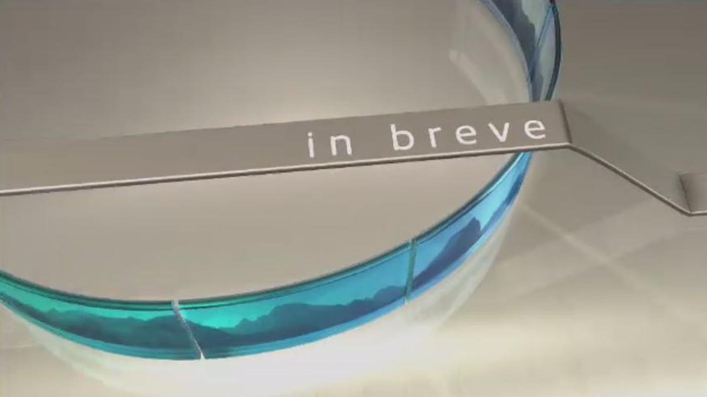 le brevi.JPG