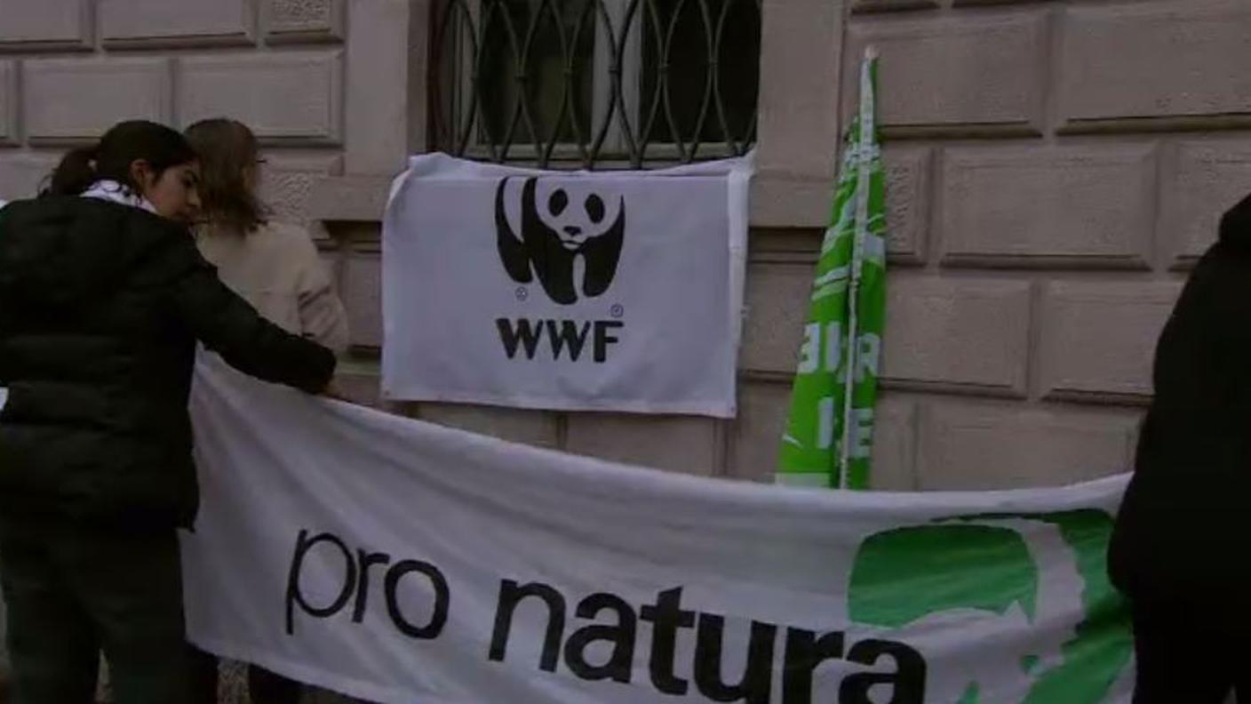 WWF.JPG