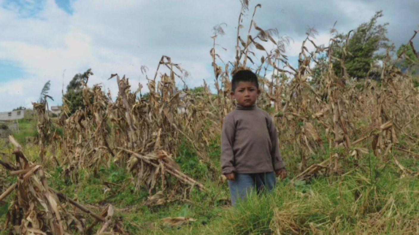 bambino ecuadoriano.JPG