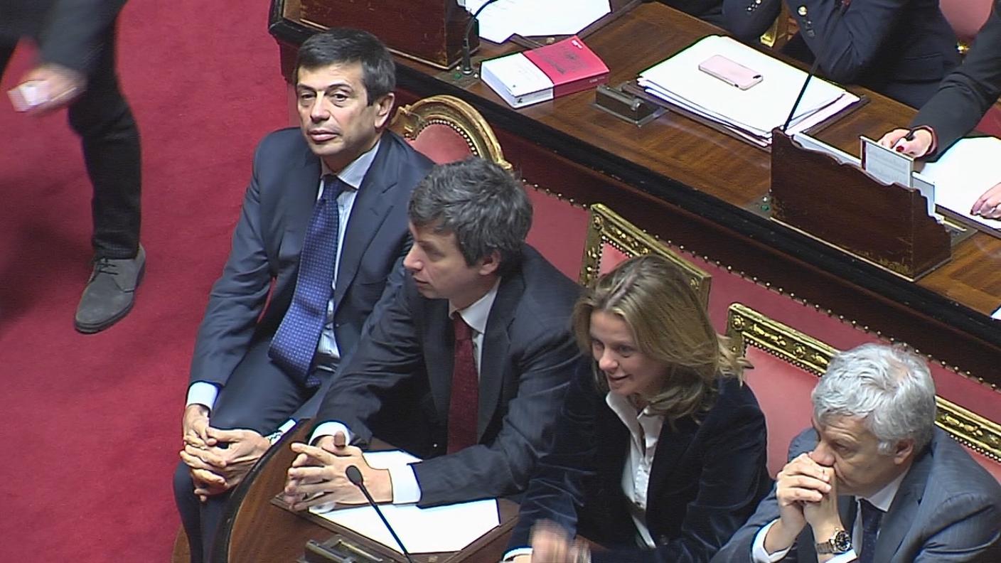  LUPI.JPG