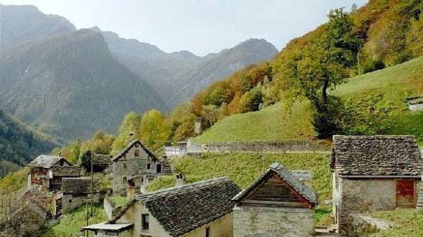 cerentino