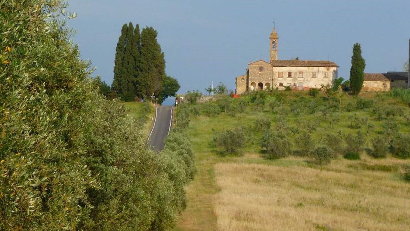 Falo_Vino rossocrociato2.jpg