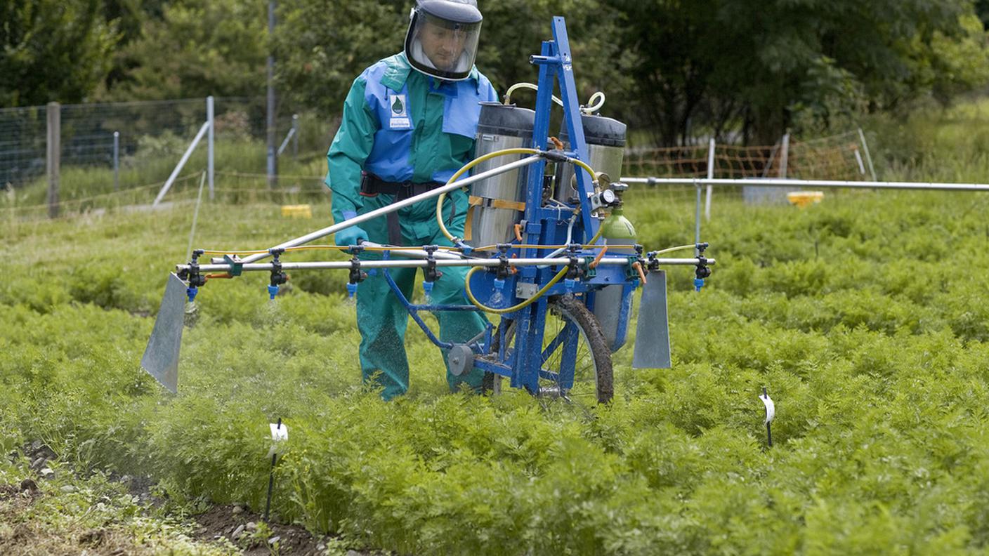 Ricerca sui pesticidi