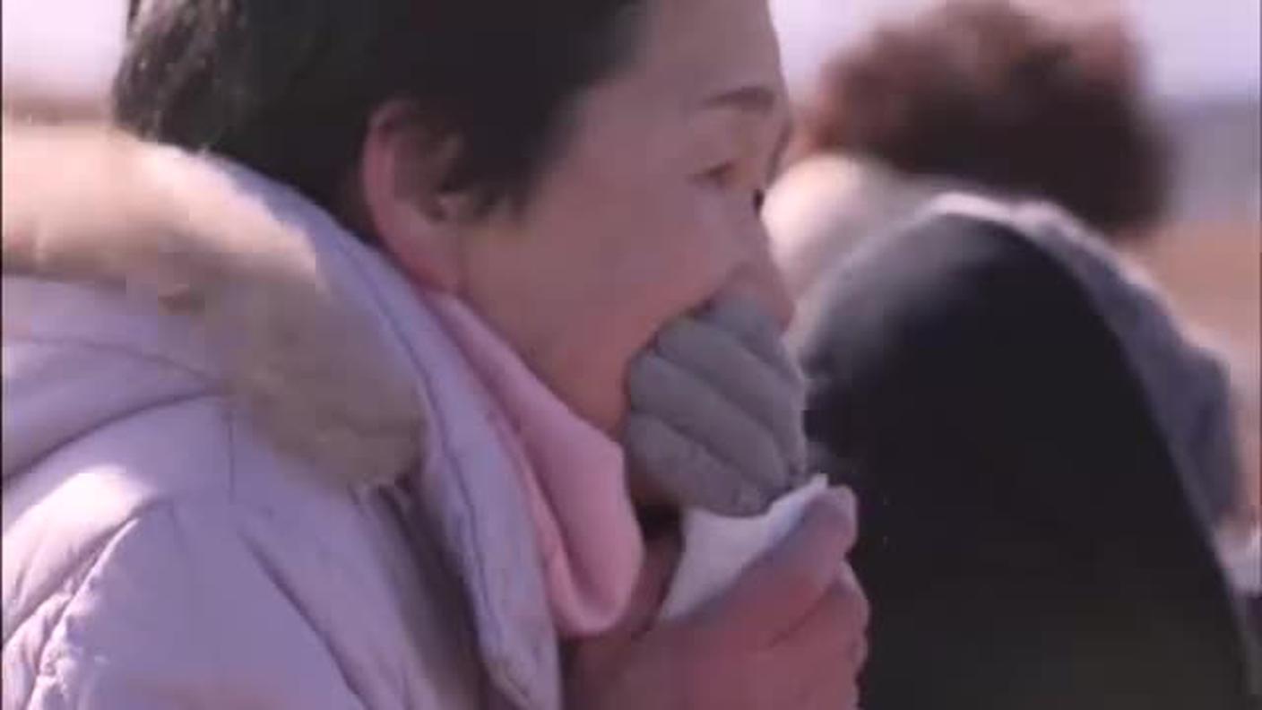 27.12.2017:Fukushima, un pino sinbolo della catastrofe