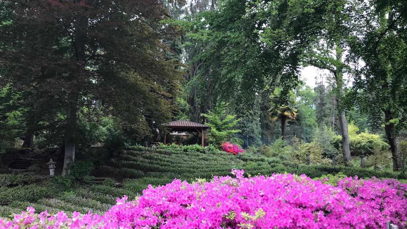 Giardini al Monte Verità.jpg