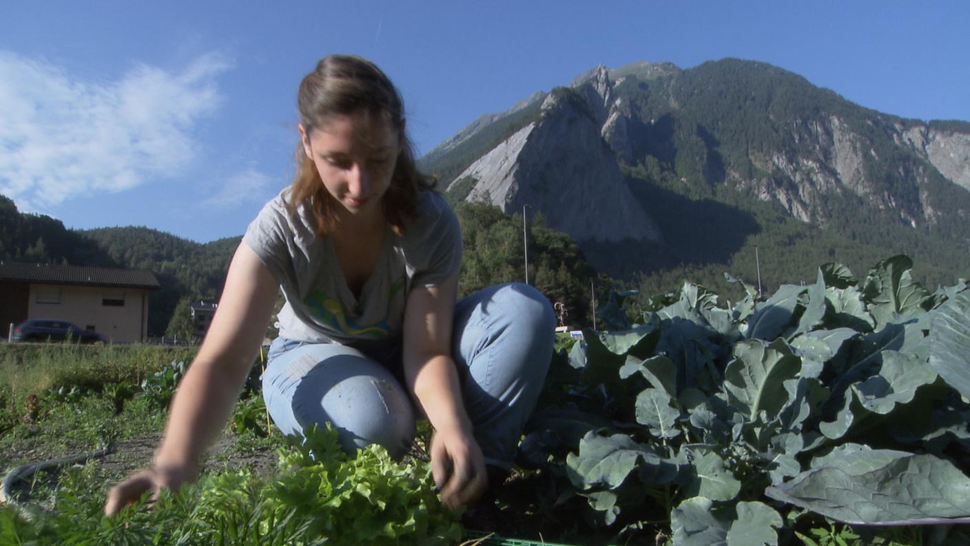 CARITAS MONTAGNARD.jpg
