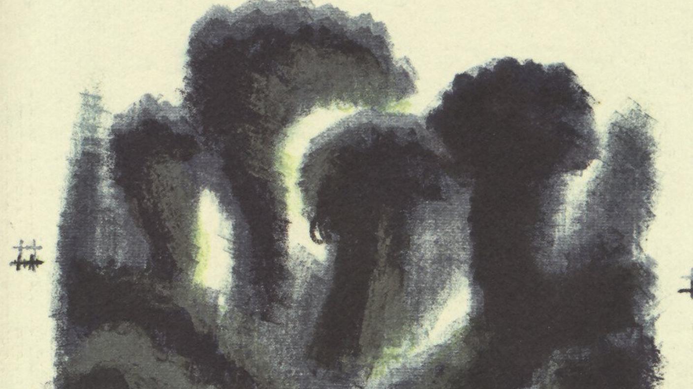 Anna Ruchat, "Gli anni di Nettuno sulla terra", Ibis (dettaglio copertina)