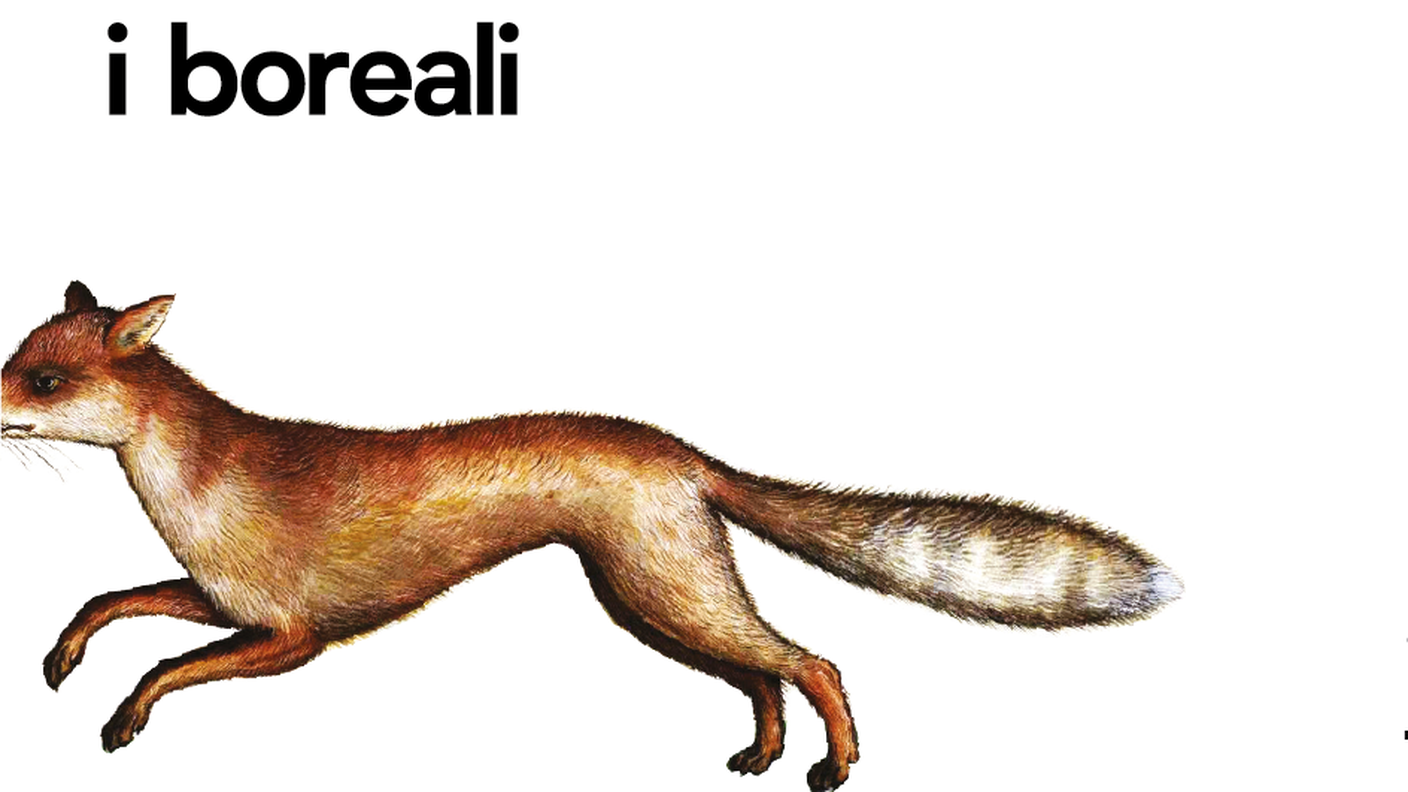 I Boreali Locandina