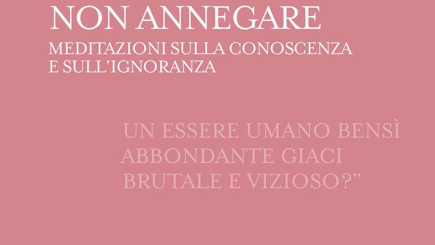 Nicla Vassallo, "Non annegare. Meditazioni sulla conoscenza e sull’ignoranza", Mimesis editore (dettaglio copertina)