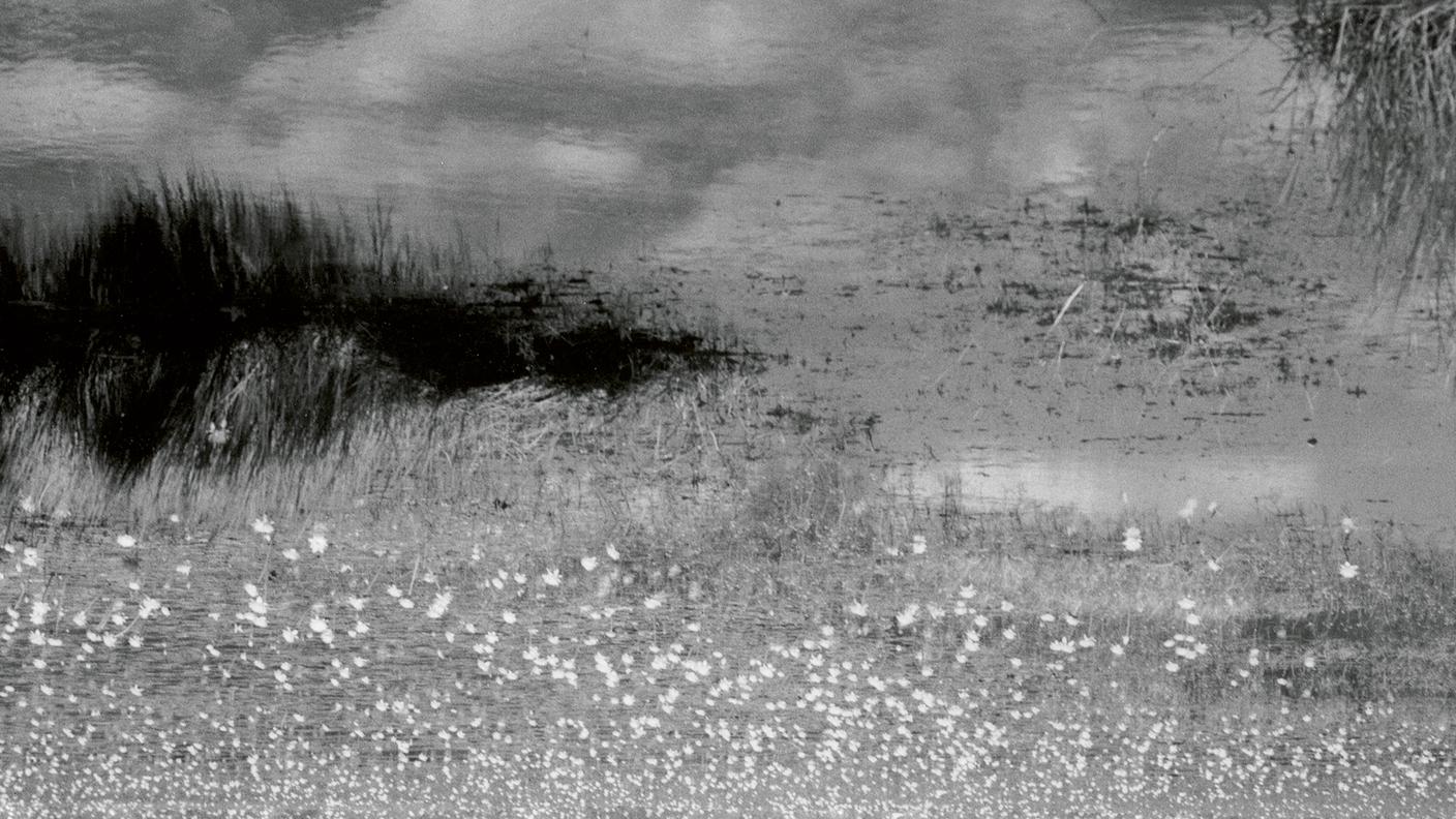 Mats Eilertsen; "Sirens"; ECM Records (dettaglio copertina)