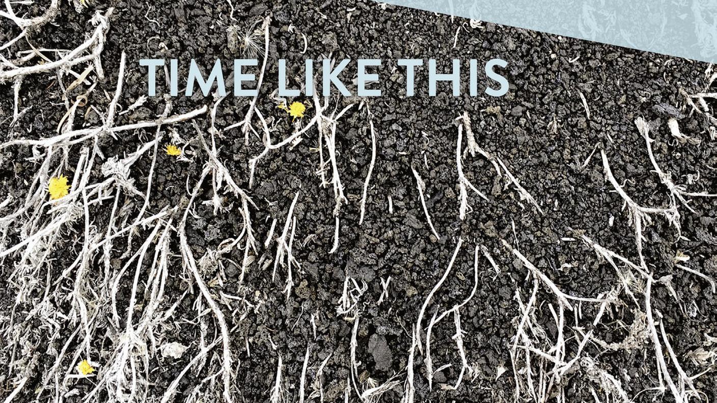 Michael Formanek Elusion Quartet; "That Was Then"; Intakt Records (dettaglio copertina)