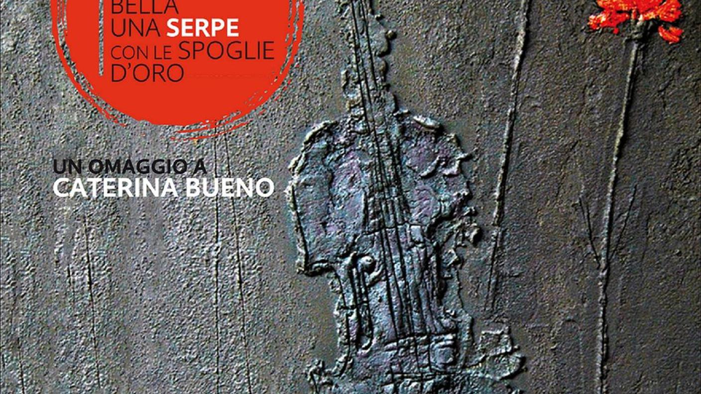 Marco Rovelli; "Quando venivi a San Piero"; Squilibri (dettaglio copertina)