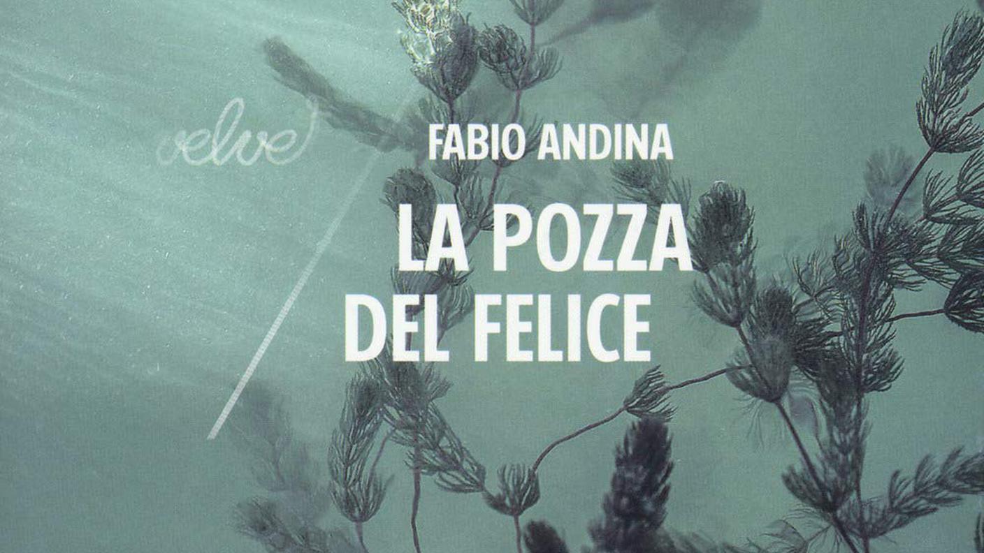 Fabio Andina, "La pozza del Felice", Rubettinoeditore (dettaglio copertina)