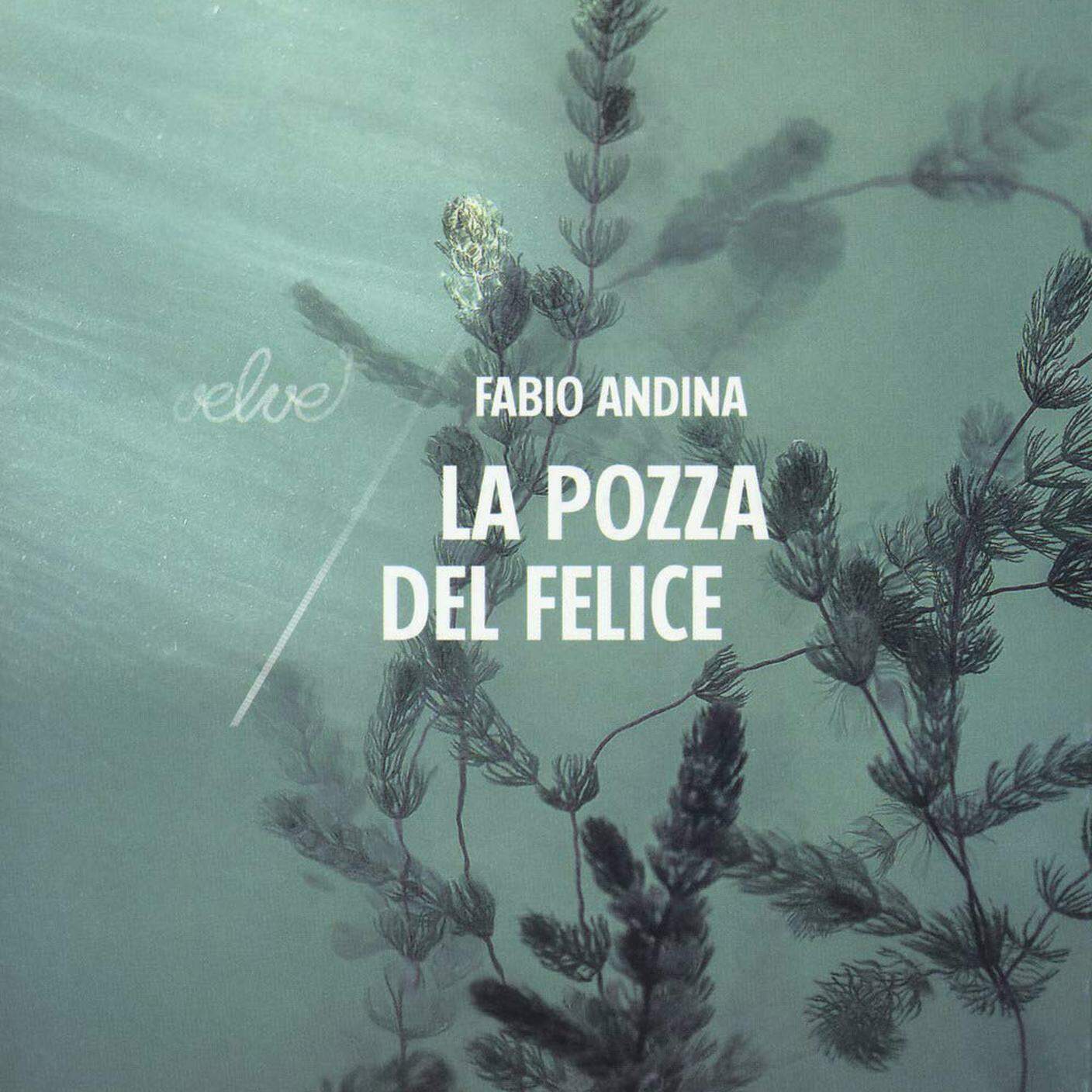 Fabio Andina, "La pozza del Felice", Rubettinoeditore (dettaglio copertina)