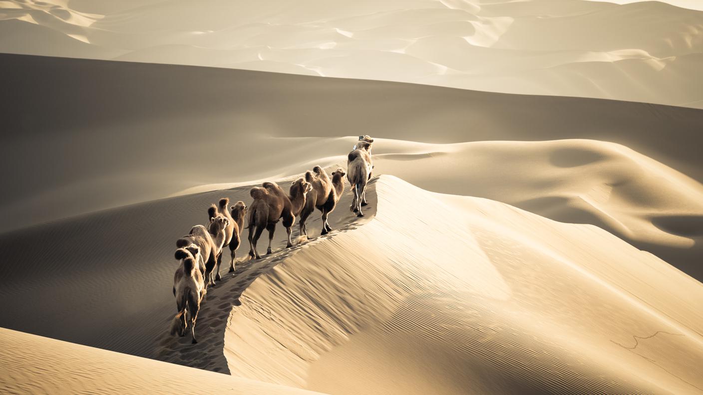 iStock-Xinjiang 