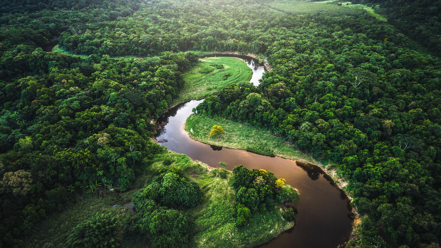 iStock- Foresta Amazzonica