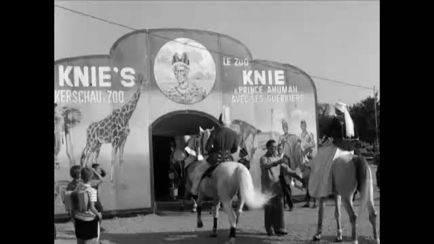 DINASTIA KNIE: I 100 ANNI DEL CIRCO NAZIONALE - PARTE 2 [La1] 2019-11-25 21:11:00