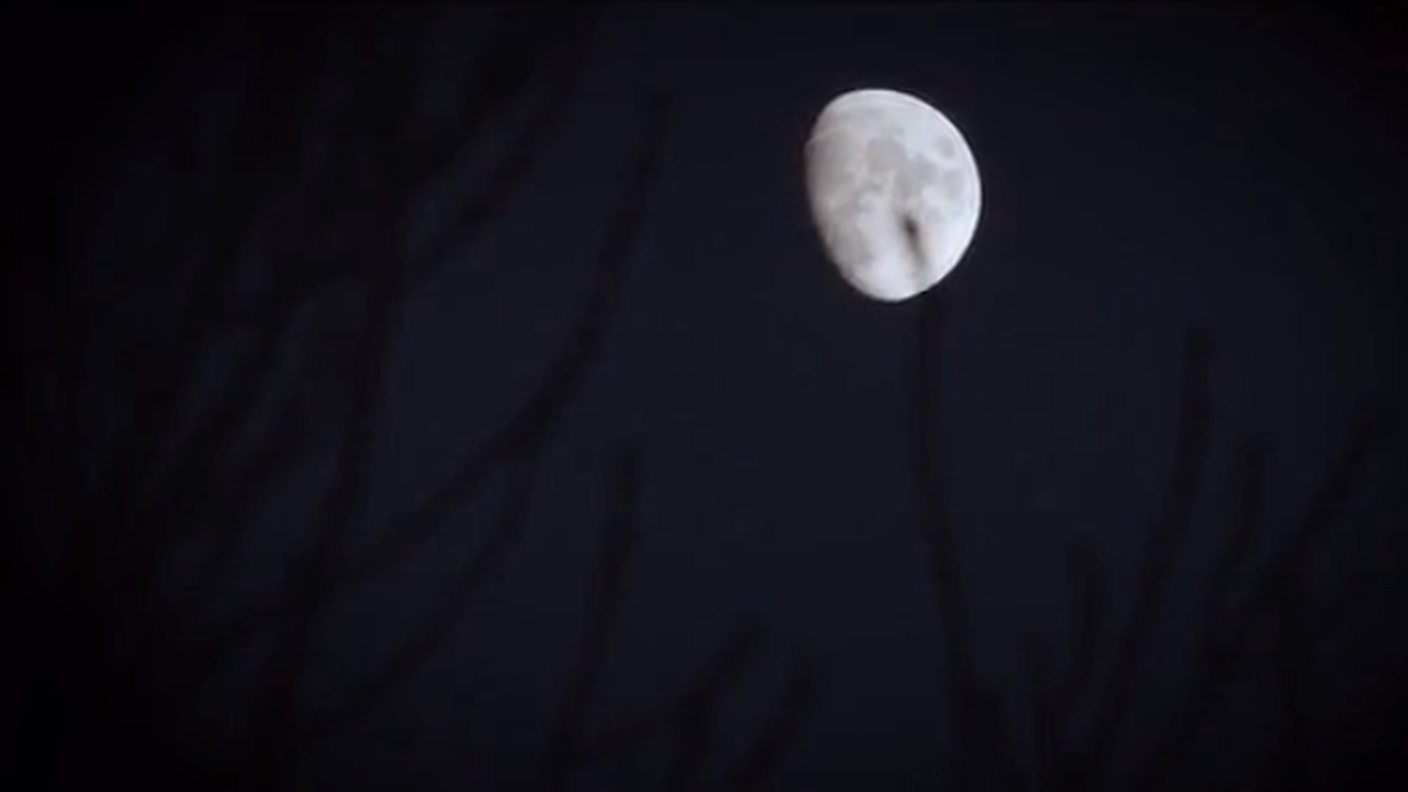 Verso le stelle