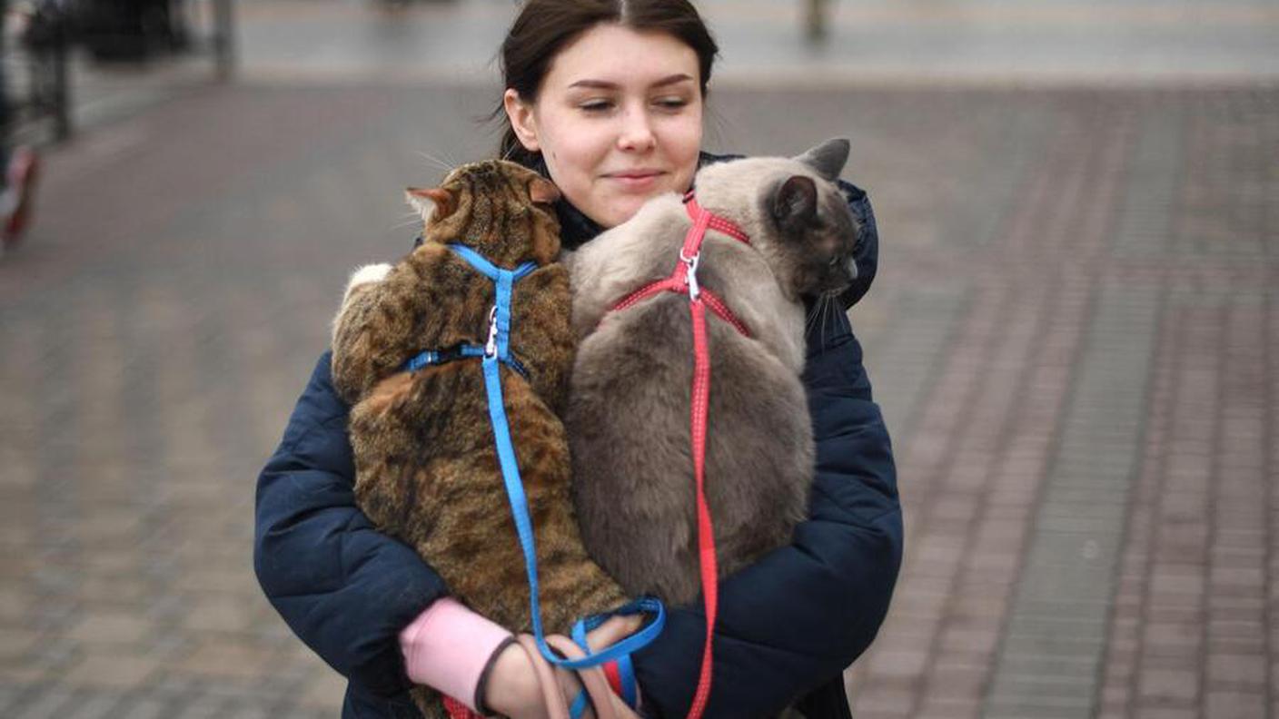 In fuga dall'Ucraina: non solo le persone