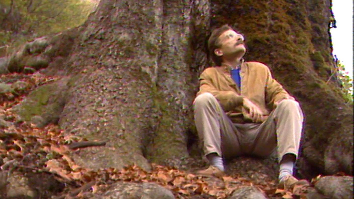 2447609_Attualità_Il bosco dentro di noi.jpg