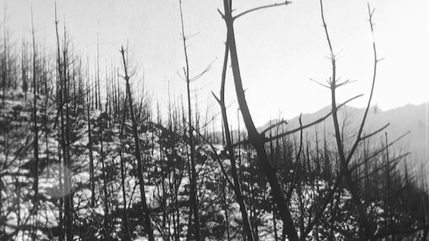3244300_Il Regionale_Si spoglia una valle_Incendio Val Colla.jpg