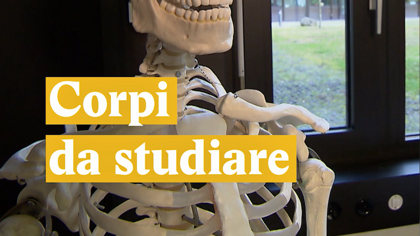 corpi.PNG