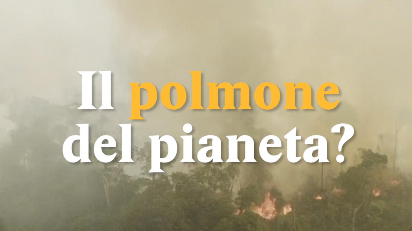 Polmone blu.00_00_02_12.Still001.jpg