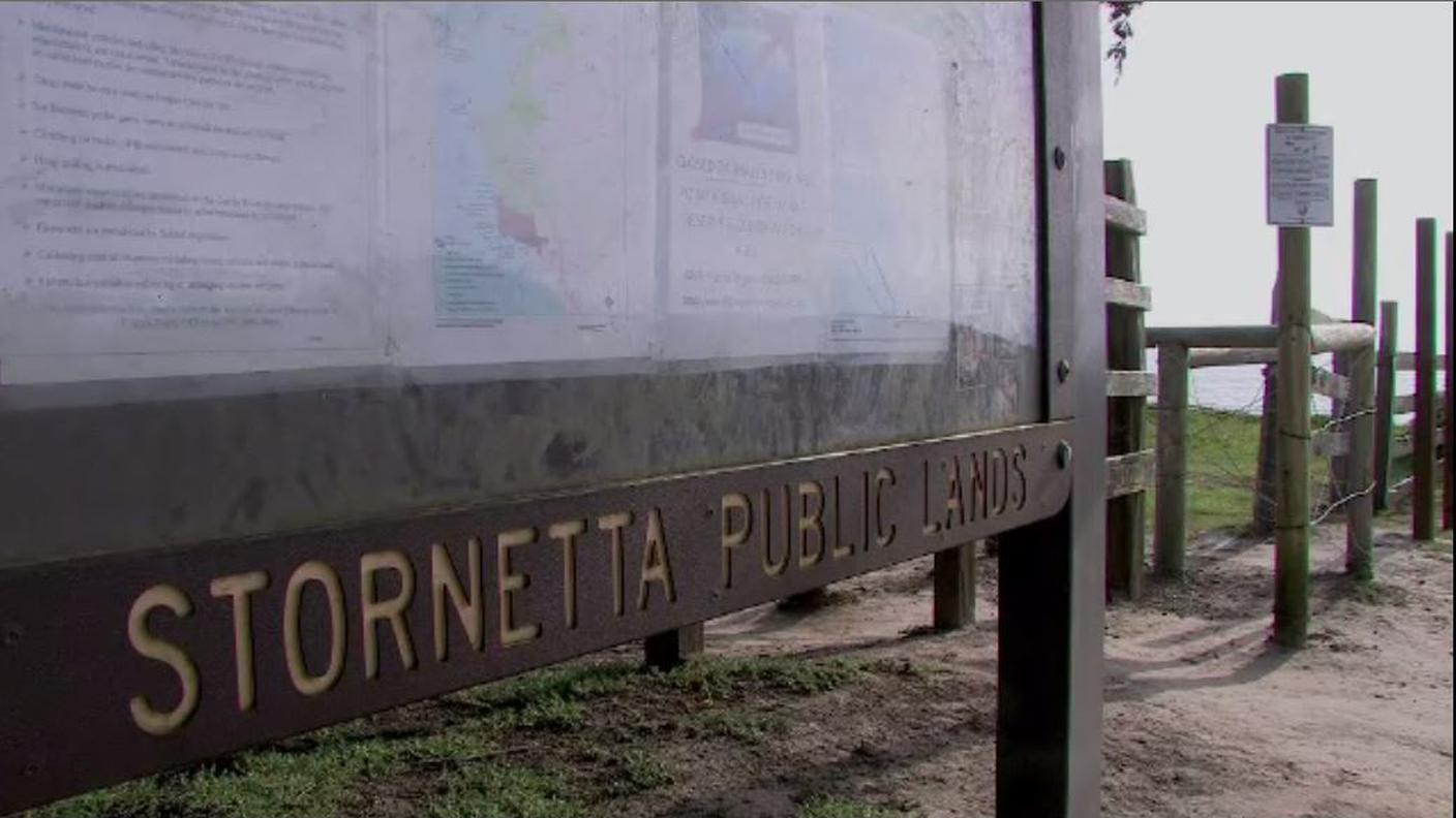 Stornetta