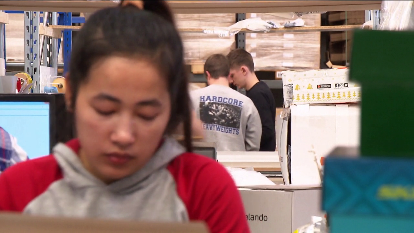 FALO ZALANDO