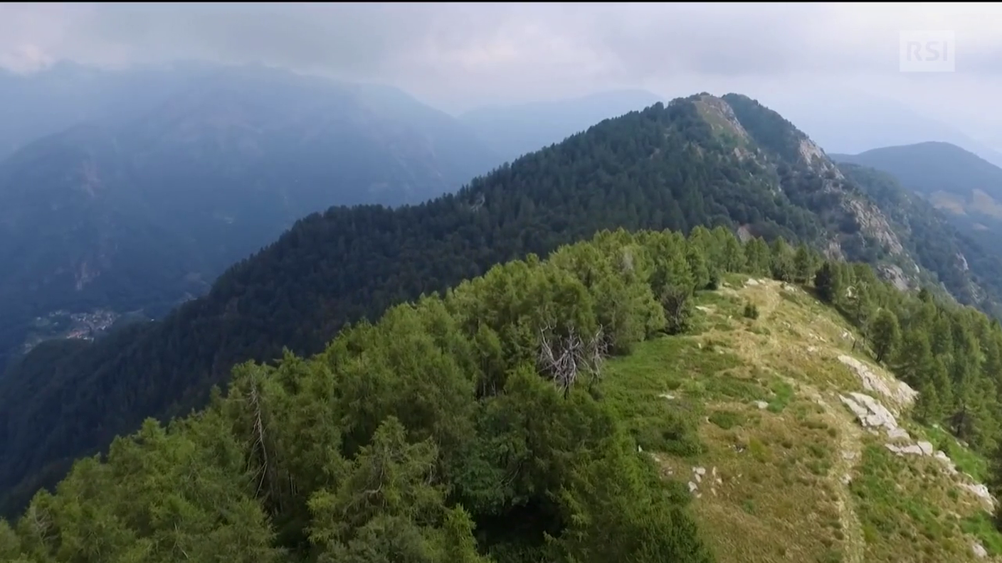 Falò 31.05.2018 - Parco locarnese