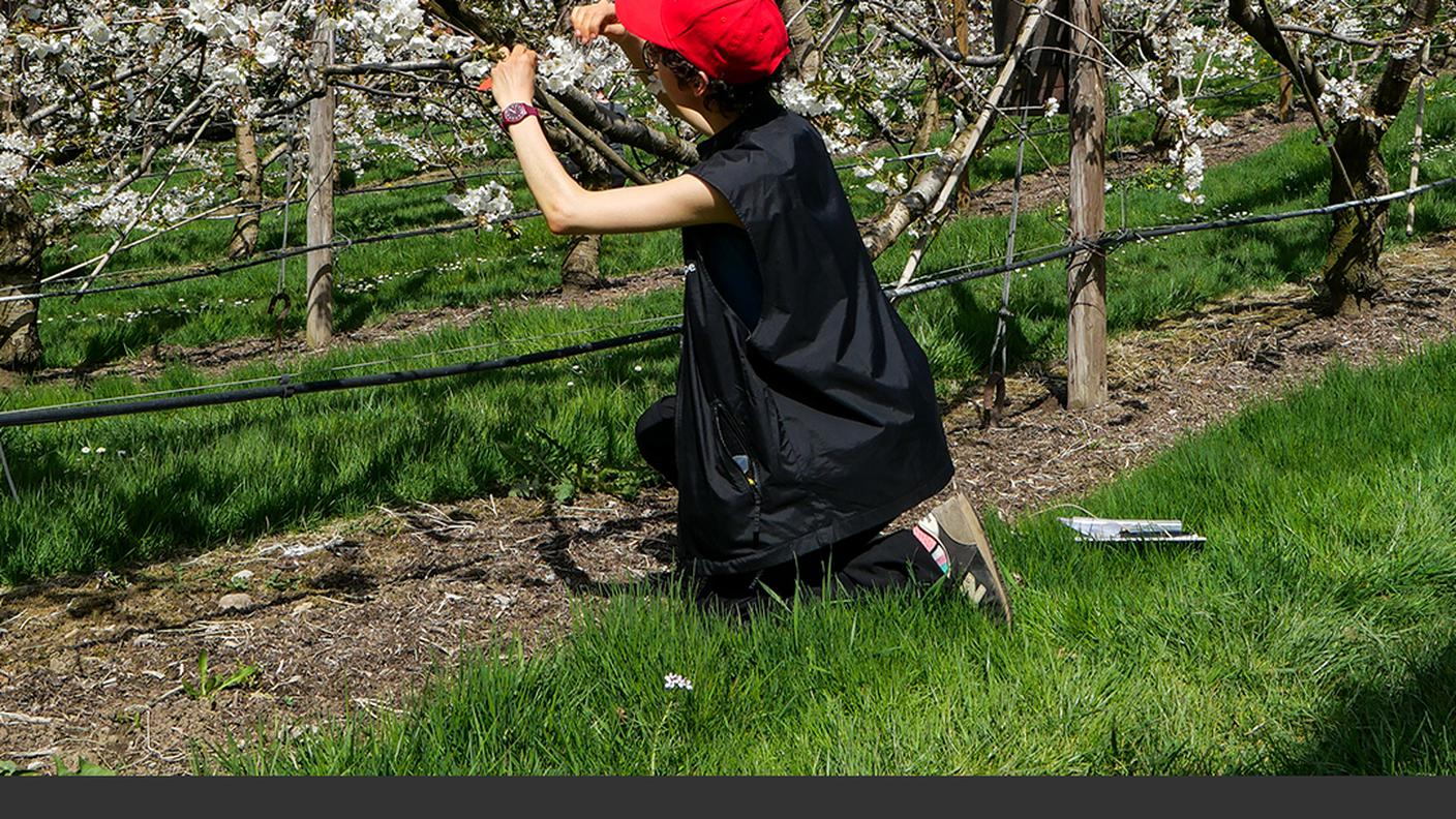 Biodiversità ed economia 2