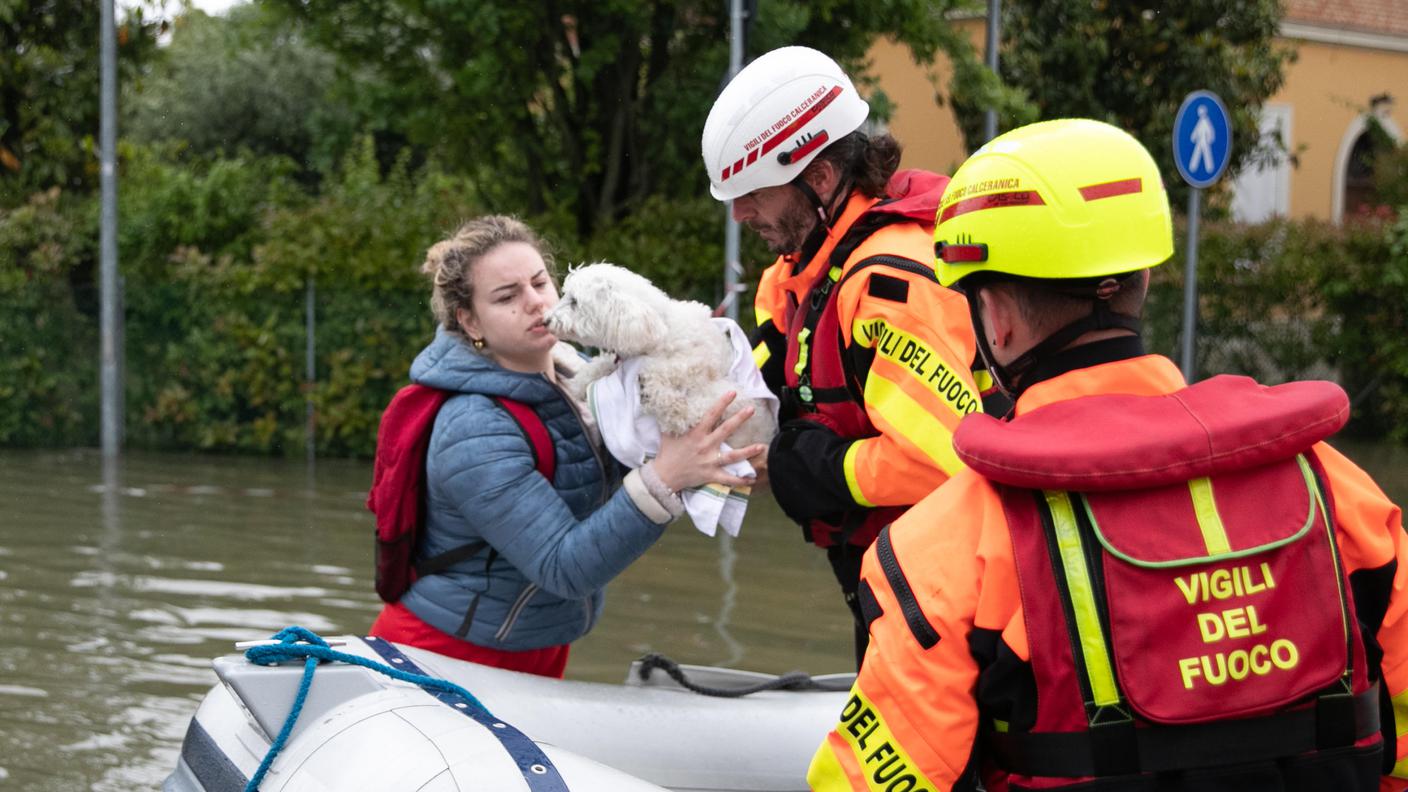 Cagnolino tratto in salvo con il canotto