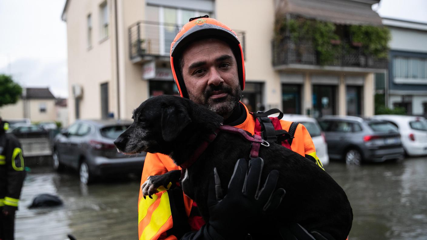 Un soccorritore con un cane in braccio