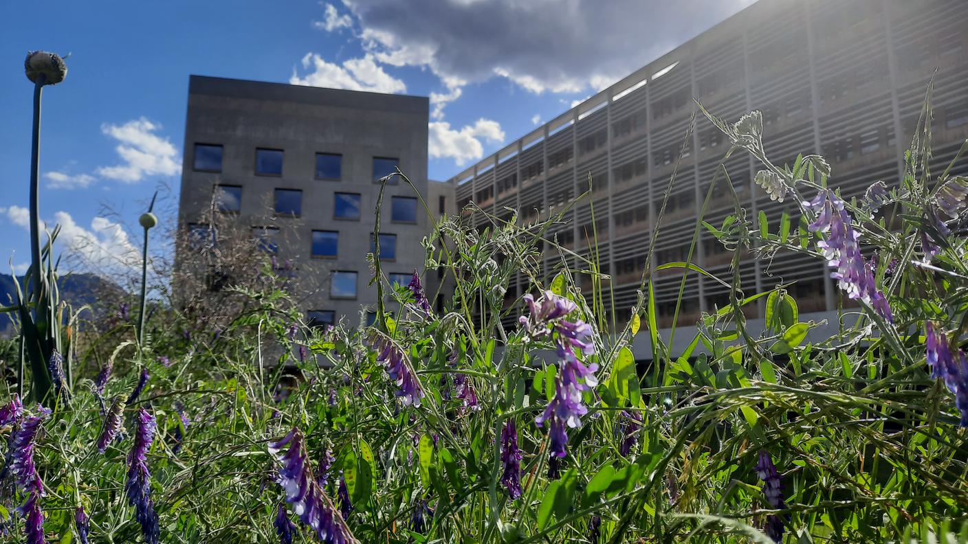 Giardino della biodiversità del SA3
