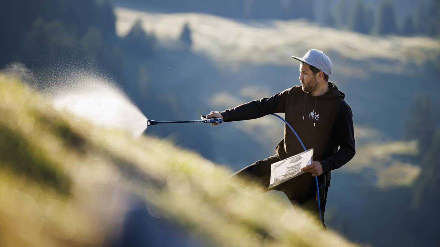 L'esponente della landart Saype all'opera a Villars
