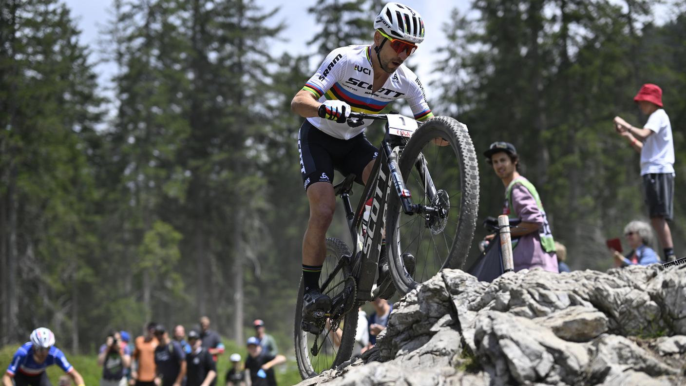 schurter