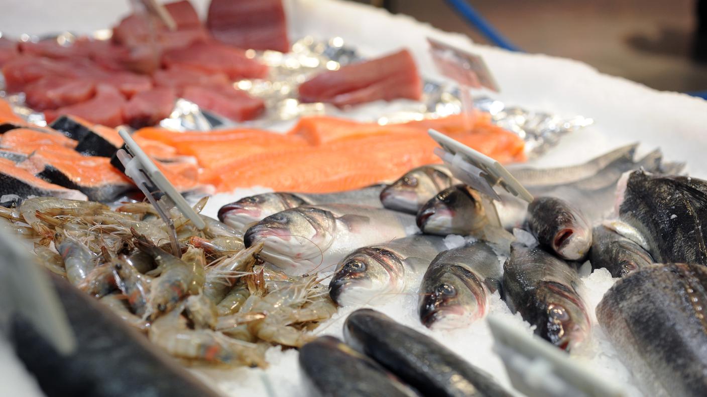 Con i blackout il pesce finirebbe per non poter più essere venduto