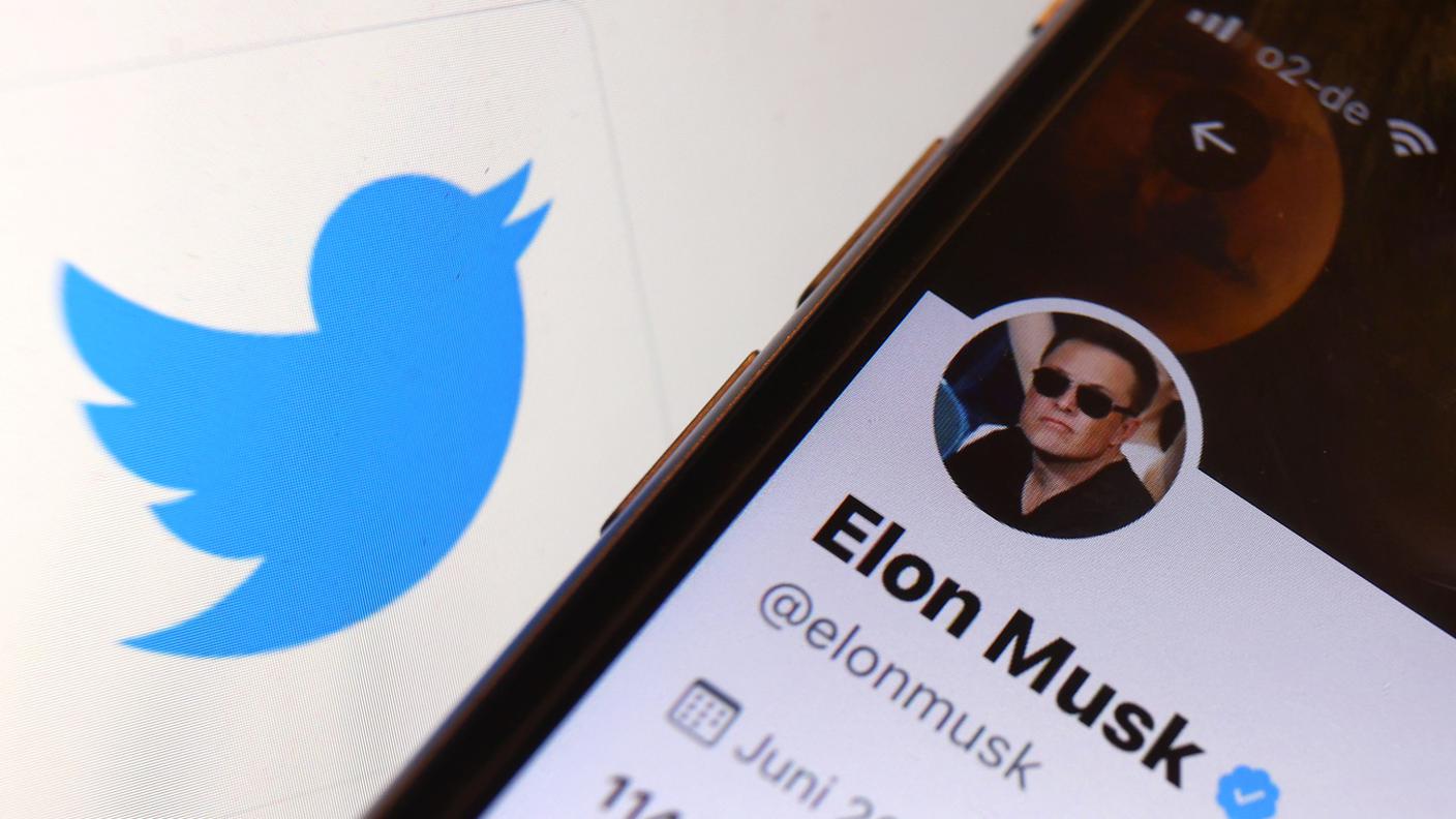 Elon Musk su Twitter