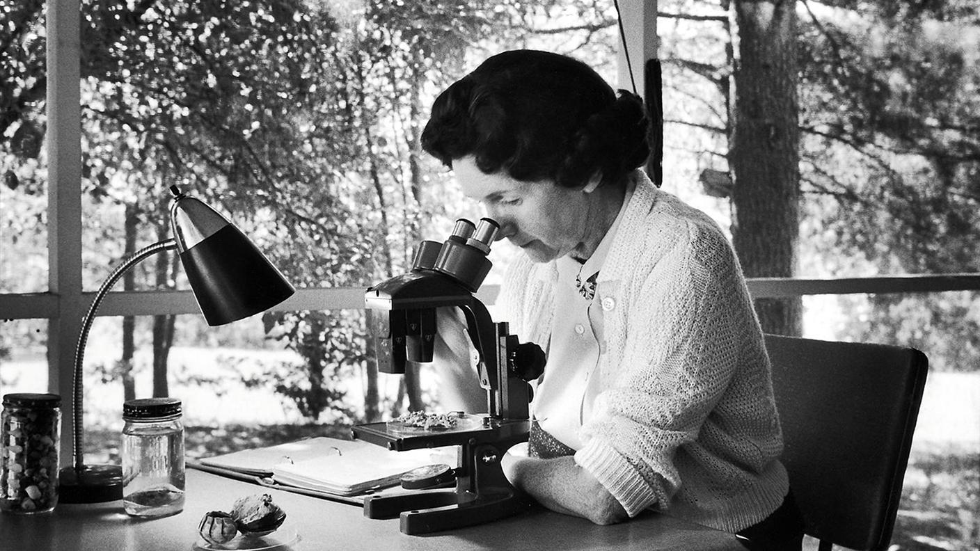 Rachel Carson