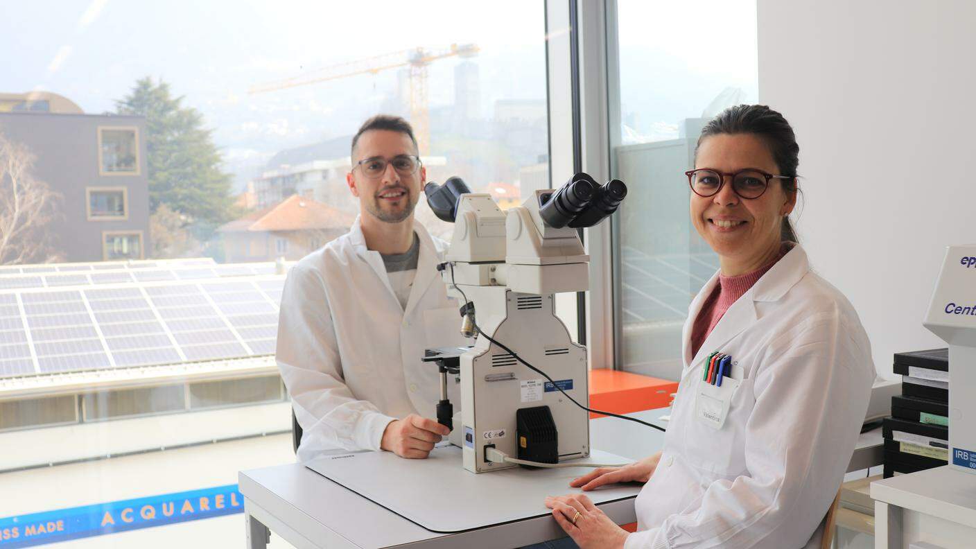 I primi coautori dello studio: Valentina Cecchinato e Jonathan Muri, postdottorandi all’Istituto di Ricerca in Biomedicina