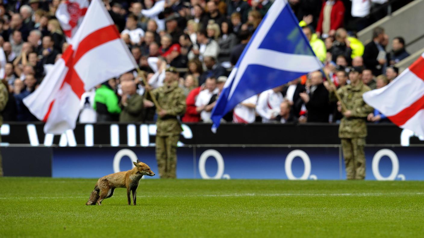 Una volte ad un match del Sei Nazioni di rugby tra Inghilterra e Scozia