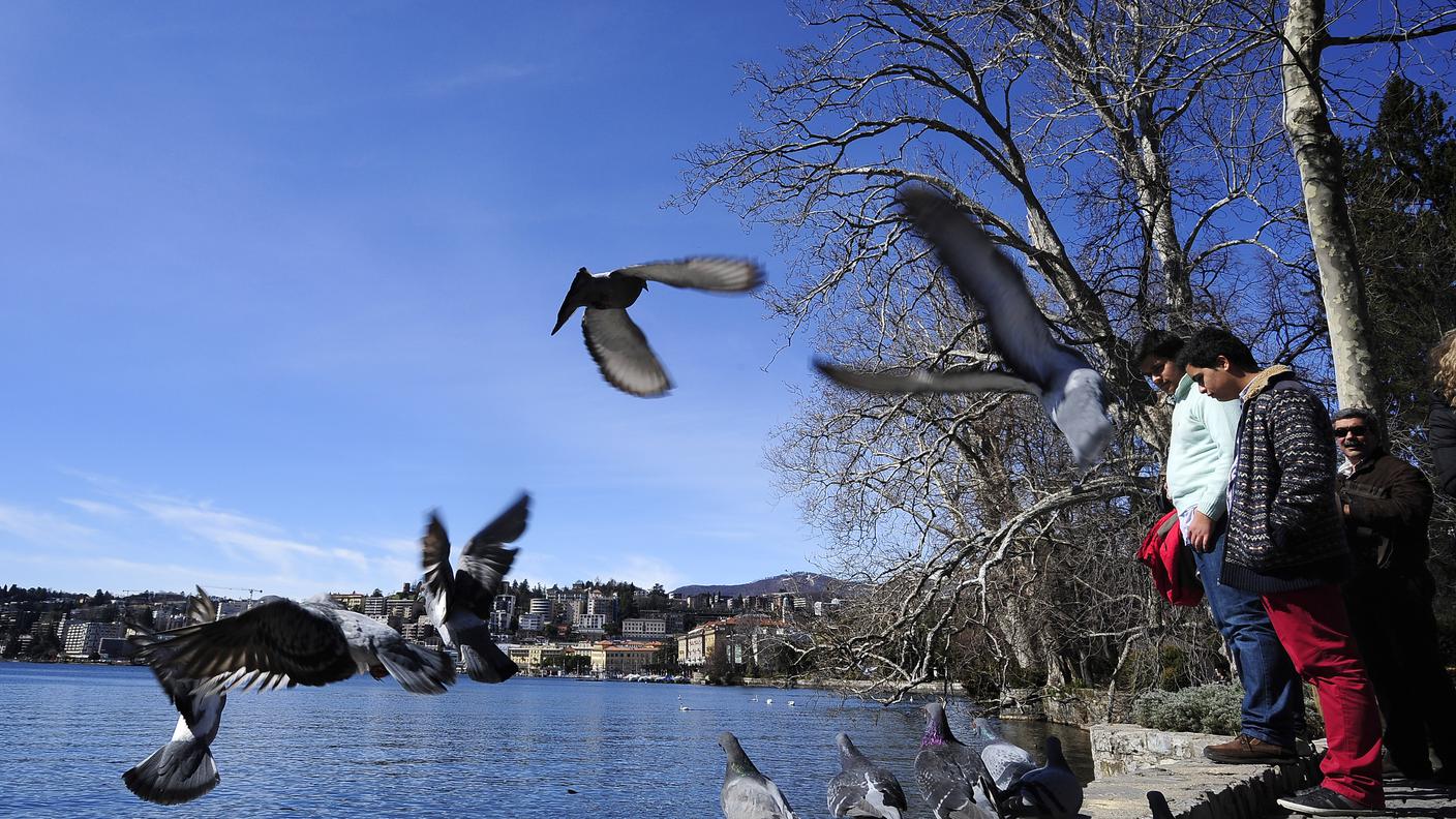 Lugano: 21 marzo, primo giorno di primavera con sole e 16 gradi