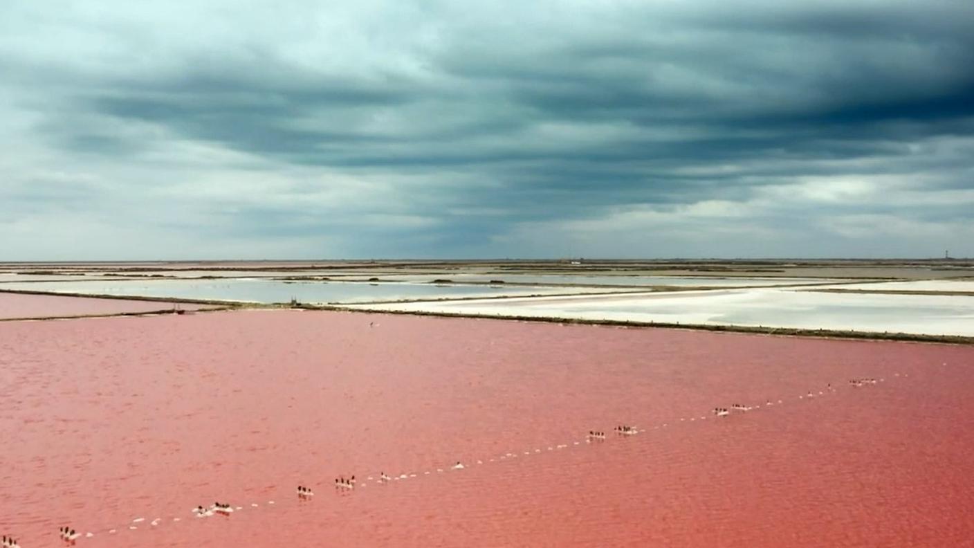 Camargue, di Xavier Lefebvre