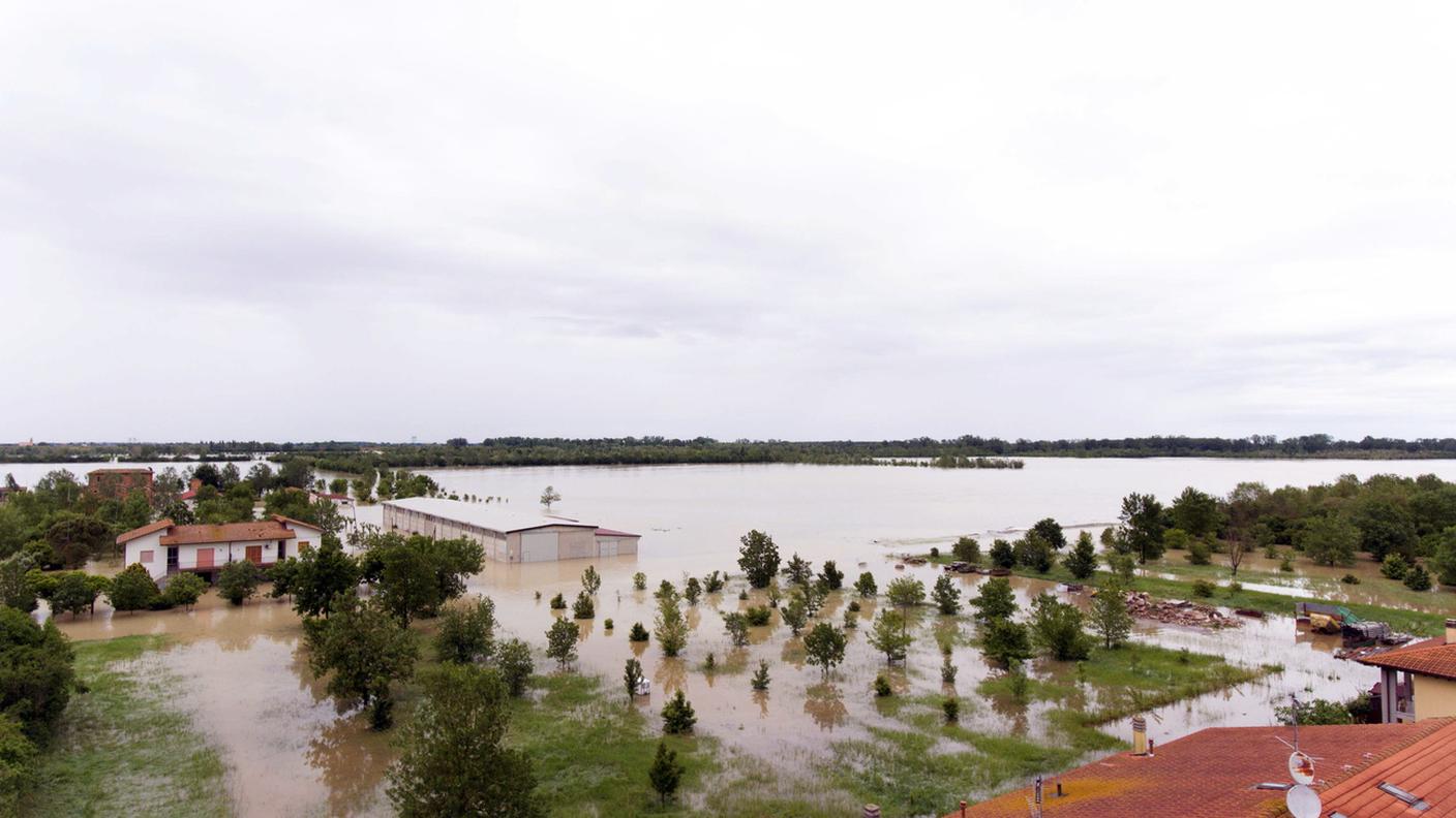 L'acqua fa marcire le radici delle piante