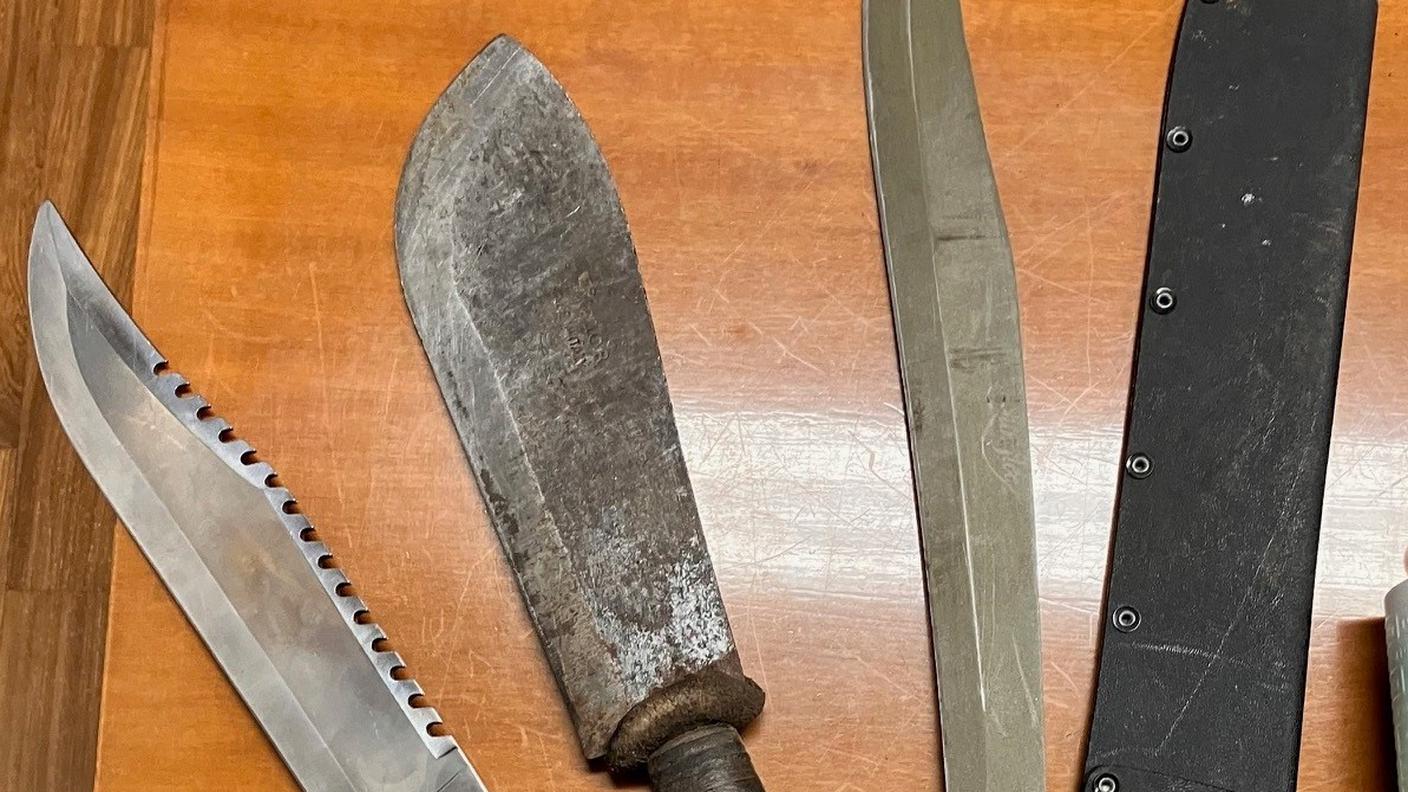 I carabinieri nei boschi hanno sequestrato fucili, coltelli e macete