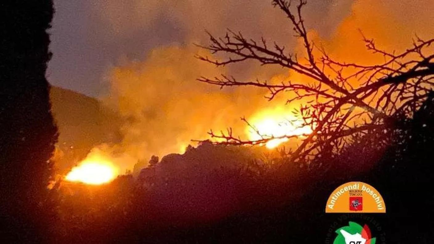 Le fiamme sono divampate in un bosco nel Comune di Rio