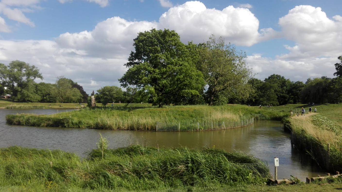 Parco vicino a casa - Hampstead Heath 