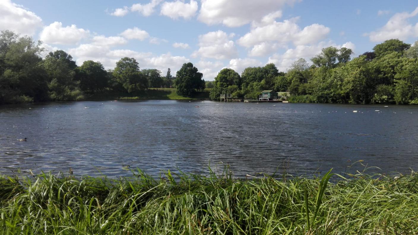 Hampstead Heath