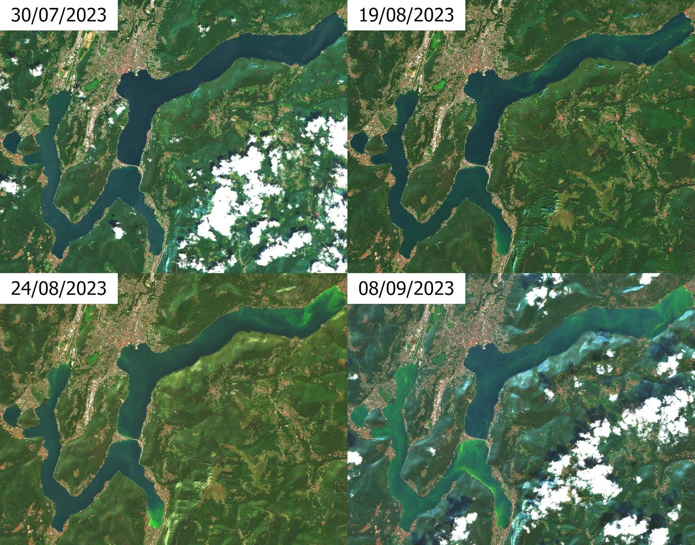 La rapida espansione della fioritura di Microcystis nel Lago di Lugano nelle immagini satellitari (Sentinel-2, Copernicus)