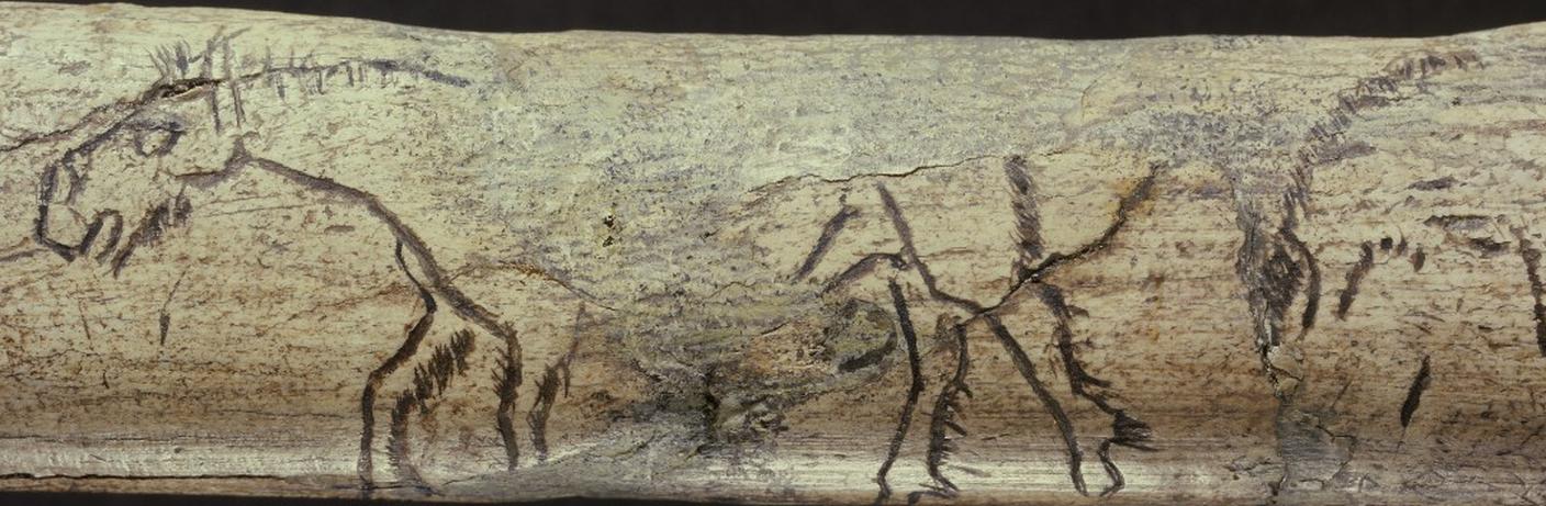 Il primo disegno svizzero rappresenta due cavalli su un corno di renna e risale a 13 mila anni fa